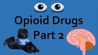 Opioid Drugs Part 2 Addiction and Overdose [upl. by Birecree]