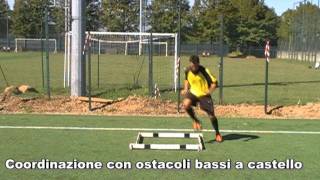 Lallenamento dei portieri per migliorare la coordinazione [upl. by Ilowell]