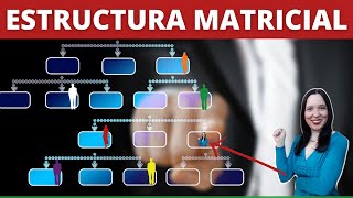 ¿Cómo funciona una ESTRUCTURA MATRICIAL en Proyectos ✅ ¿Qué es una Organización Matricial [upl. by Itoc43]