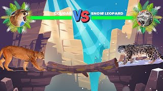 Cougar Vs Snow Leopard [upl. by Berns387]