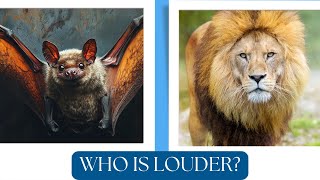 The LOUDest Animals In The World [upl. by Orabel]