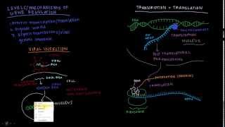 Khan Academy Talent Search  RNAi [upl. by Gerri]