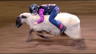 Mutton Bustin highlights  San Antonio Rodeo  Feb 14 2022 [upl. by Eirrac]