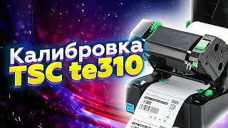 Калибровка термотрансферного принтера этикеток TSC TE310  Настройка печати [upl. by Shulins]