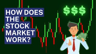 Dont Invest Until You Watch This The Real Truth About Stocks [upl. by Colier]