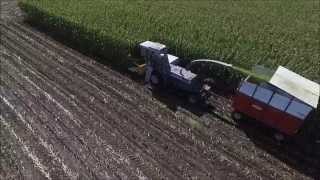 Chopping Corn Silage Iowa 2015 [upl. by Marlow]