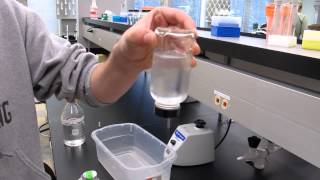 Fall 2014 Ice Nucleation Bacteria Demonstration 1 [upl. by Ongineb]