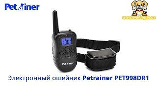 Электронный ошейник для дрессировки собак Petrainer PET998DR [upl. by Pat997]