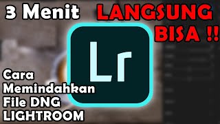 Cara Menambahkan Preset DNG ke Aplikasi Lightroom Mobile [upl. by Lemuelah189]