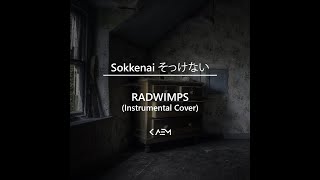 Sokkenai そっけない  RADWIMPS Instrumental Cover [upl. by Jackqueline]