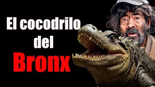 ¿ Existió un cocodrilo en el BRONX de BOGOTÁ [upl. by Kevyn]