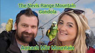 The Nevis Range Mountain Gondola with GameZone Birdroom [upl. by Eilahs]