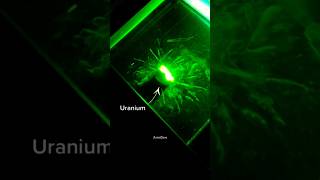 Exploring Uranium metal  shorts uranium astroverse metal explore science [upl. by Eradis]