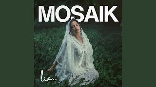 Mosaik Preview [upl. by Notyalc989]