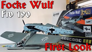 Dynam Focke Wulf FW190 Review  First Look  RC Plane Unbox [upl. by Amaerd291]