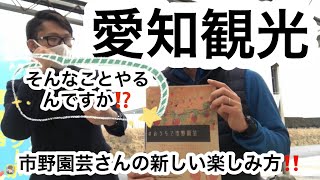 愛知観光 半田の市野園芸さん 売店と新たな取り組みについてお話しいただきました [upl. by Aikrehs]