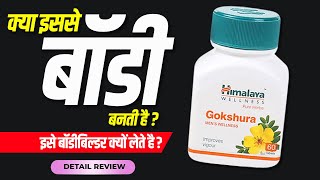 Himalaya gokshura tablet  Usage benefits amp side effects  Review by DrMayur  Testosterone [upl. by Enelez649]