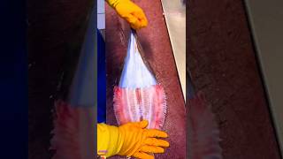 🐠 Witch Flounder Skin Peeling ASMR  Satisfying Grey Sole Prep Skills flatfish short trending [upl. by Novek]