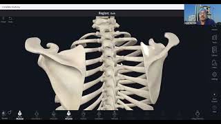 SonoAnatomy of Thoracic Spine  Intercostal Nerve Block  Paravertebral Block  Erector Spinae Block [upl. by Schroeder]