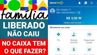 PAGAMENTO DO BOLSA FAMÍLIA NÃO CAIU NO CAIXA TEM O QUE FAZER NIS 1 2 3 4 5 6 7 8 9 0 EM NOVEMBRO [upl. by Mikaela]