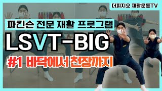 LSVTBIG 1 파킨슨 재활운동 프로그램 바닥에서 천장까지 [upl. by Loziram]