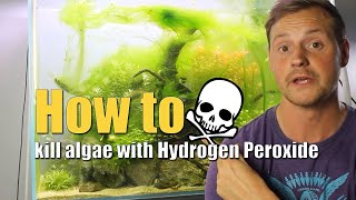 How to kill algae with Hydrogen Peroxide [upl. by Ryhpez418]