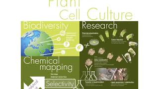 Plant biotechnology Sederma [upl. by Arhoz]