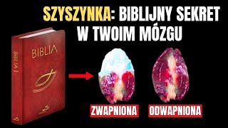 Uwaga Biblia podaje DOKŁADNE INSTRUKCJE dotyczące SZYSZYNKI [upl. by Petulia]