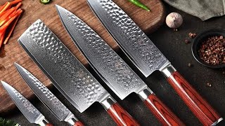 6 Best Japanese Knife Set Reviews Update 2021 [upl. by Adnowat]