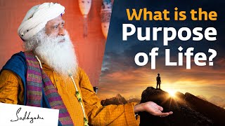 What is the Purpose of Life  Sadhguru [upl. by Sandi]