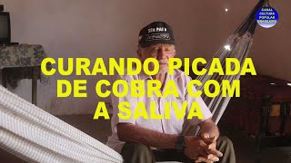 CURANDO PICADA DE COBRA COM SALIVA [upl. by Atirabrab793]