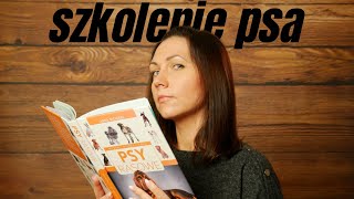 Kiedy i jak zacząć szkolenie psa [upl. by Ahsienot]