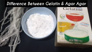 Difference between Gelatin and AgarAgar  Agar Agar Powder  Homemade Halal Gelatin [upl. by Ffirahs]