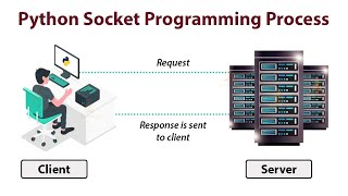 Python Socket Programming Process [upl. by Longtin]