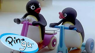 Pingu Surprises Everyone 🐧  Pingu  Official Channel  Cartoons For Kids [upl. by Eladnor]