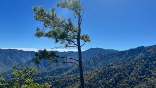 rocky top Tennessee musicvideo smokymountains music hiking nature mountains rockytop ￼ [upl. by Moreland874]