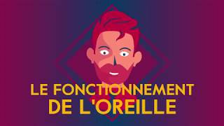 Le fonctionnement de loreille  Amplifon [upl. by Anaihs]