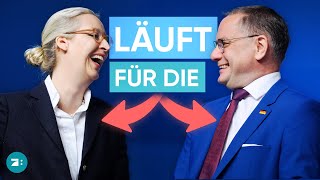 quotDeutschland schafft sich abquot – Weidel und Chrupalla als AfDDoppelspitze bestätigt [upl. by Nnylrac821]