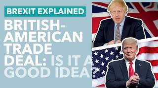 Chlorinated Chicken and quotSellingquot the NHS Does the UK Want A Deal With America  TLDR News [upl. by Dulcea]