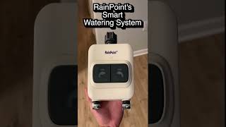 How to Plant Grass and Automate the Watering with RainPoint diy howto grass [upl. by Watts]