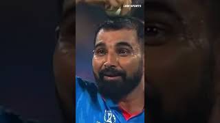 md shami 5 wicket today match cricketnews worldcup cricket [upl. by Ienttirb713]