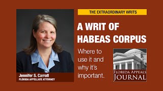 Writ of habeas corpus What it is and when to use it [upl. by Kinzer42]