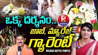 ఒక్క దర్శనం జాబ్మ్యారేజ్ గ్యారెంటీ  Mallikarjuna Swamy Temple  Velugugutta  Uppal  P TV [upl. by Ybbob]