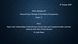 Inter relationship of Hemichorata Urochordata and Ciphalochordata I [upl. by Maryanna]