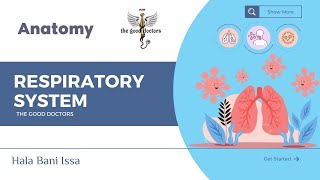 Development of respiratory system  Embryology RS [upl. by Heti806]