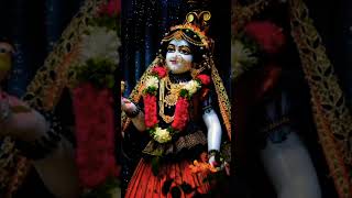 viralvideo radhakrishna [upl. by Golightly]