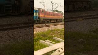 Wap 4 loco gorakhpur express🇮🇳🇮🇳🇮🇳🇮🇳 indian railways train locomotive [upl. by Nilok]