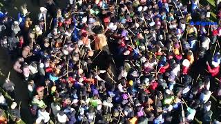 Shiyungu Outlasts Pharaoh in a Marathon Bull Battle – 15Minute Showdown [upl. by Spanos460]