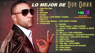 Lo Mejor de Don Omar 1º Parte  HBDJ [upl. by Kerek]