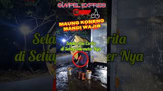 Maung Koneng Mandi Wajib masukbranda pengirimanbarang pejuangrupiah trukmania shorts steam [upl. by Abehs]